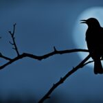 vogel schreit nachts